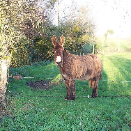 La Genoise Bed & Breakfast Tillieres Exterior photo